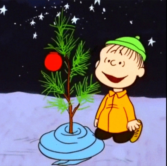 Peanuts Charlie Brown Kneeling With Tree Hallmark Ornament - Picture 13 of 16